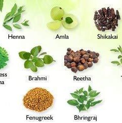 ⁦حنة إلينا العشبية مسحوق عضوي طبيعي 100% - 150 جرام⁩ - الصورة ⁦4⁩